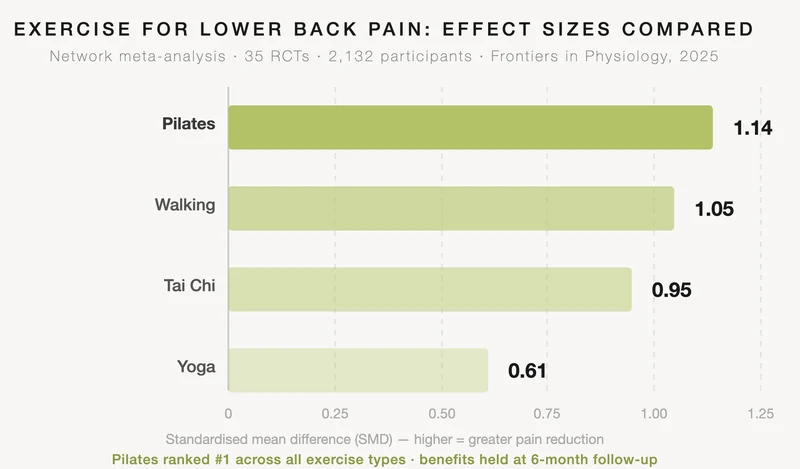 Horizontal bar chart comparing exercise types for lower back pain reduction. Pilates ranked first with a standardised mean difference of 1.14, followed by walking at 1.05, tai chi at 0.95, and yoga at 0.61. Source: network meta-analysis of 35 randomised controlled trials involving 2,132 participants, Frontiers in Physiology, 2025.