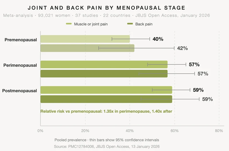 Horizontal bar chart showing joint and back pain prevalence by menopausal stage: muscle or joint pain affects 40% of premenopausal, 57% of perimenopausal and 59% of postmenopausal women; back pain 42%, 57% and 59%. Relative risk is 1.35 times higher in perimenopause and 1.40 times after. Source: JBJS Open Access, January 2026, 93,021 women.