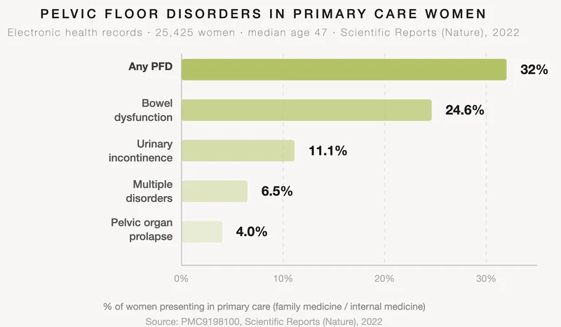 Horizontal bar chart showing pelvic floor disorder prevalence in primary care women: 32% have any pelvic floor disorder, 24.6% bowel dysfunction, 11.1% urinary incontinence, 6.5% multiple disorders, and 4.0% pelvic organ prolapse. Source: Scientific Reports, 2022, 25,425 women with a median age of 47.